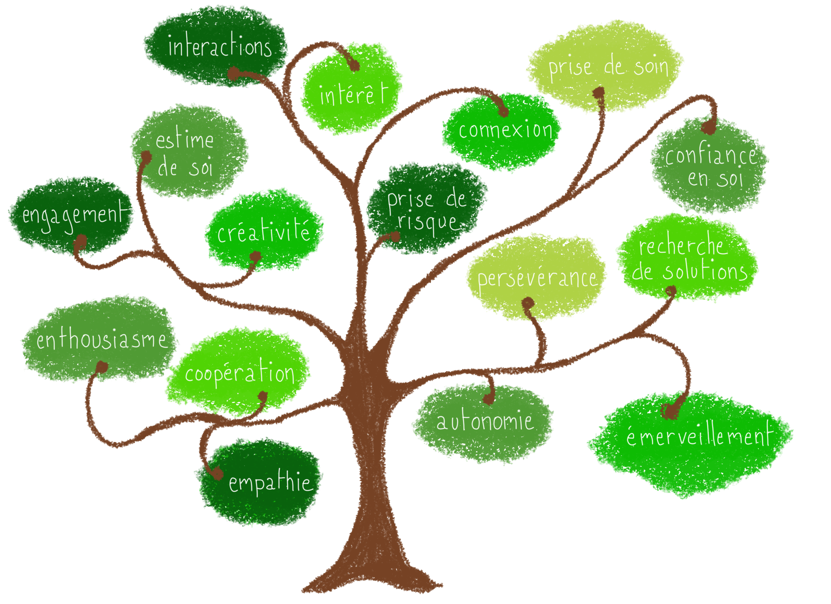 L'arbre des bienfaits de la PPN